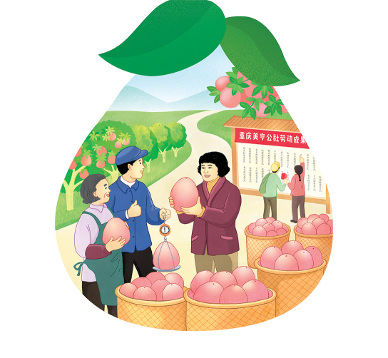 重庆美亨公社柚子包装设计
